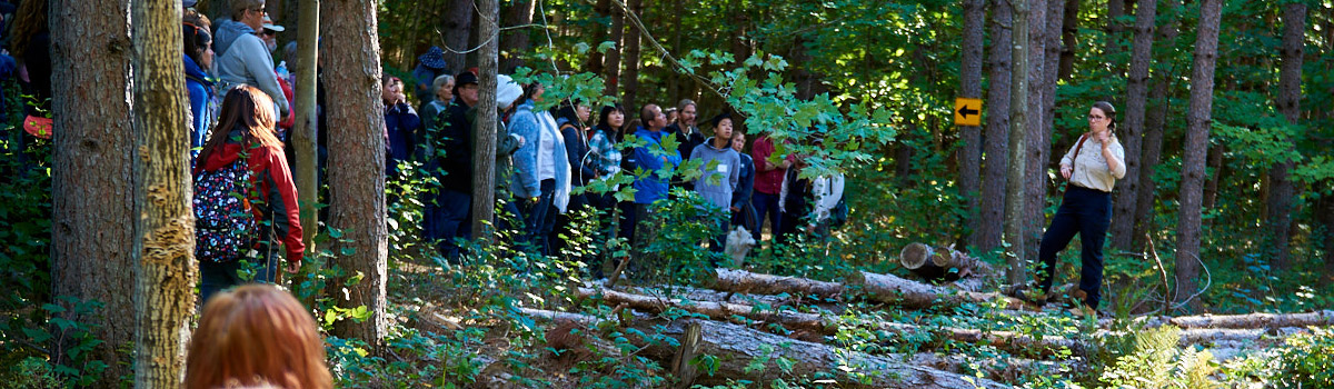 Group at an event in a park